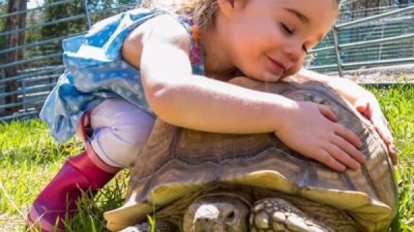 a little girl that is sitting in the grass