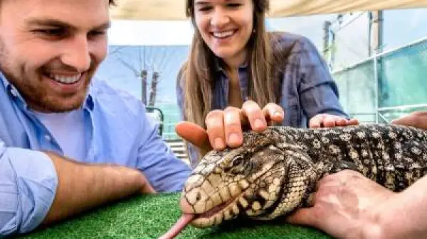 a little boy that is sitting in the grass
