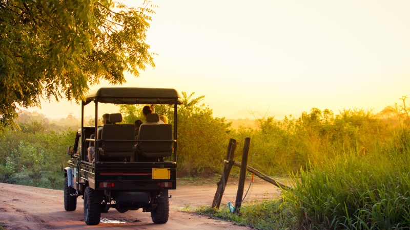 An open topped jeep carries tourists into the national park of Udawalawe, Sri Lanka to search for wildlife in the park. An open topped jeep carries tourists into the national park of Udawalawe, Sri Lanka to search for wildlife in the park.