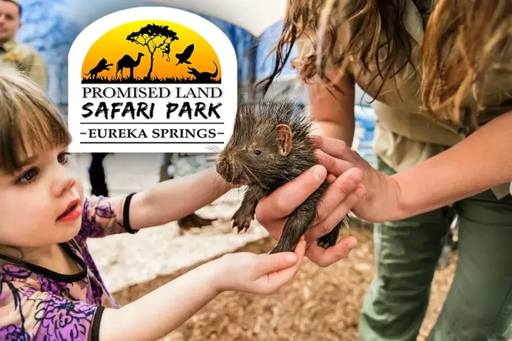 a little girl holding a bird