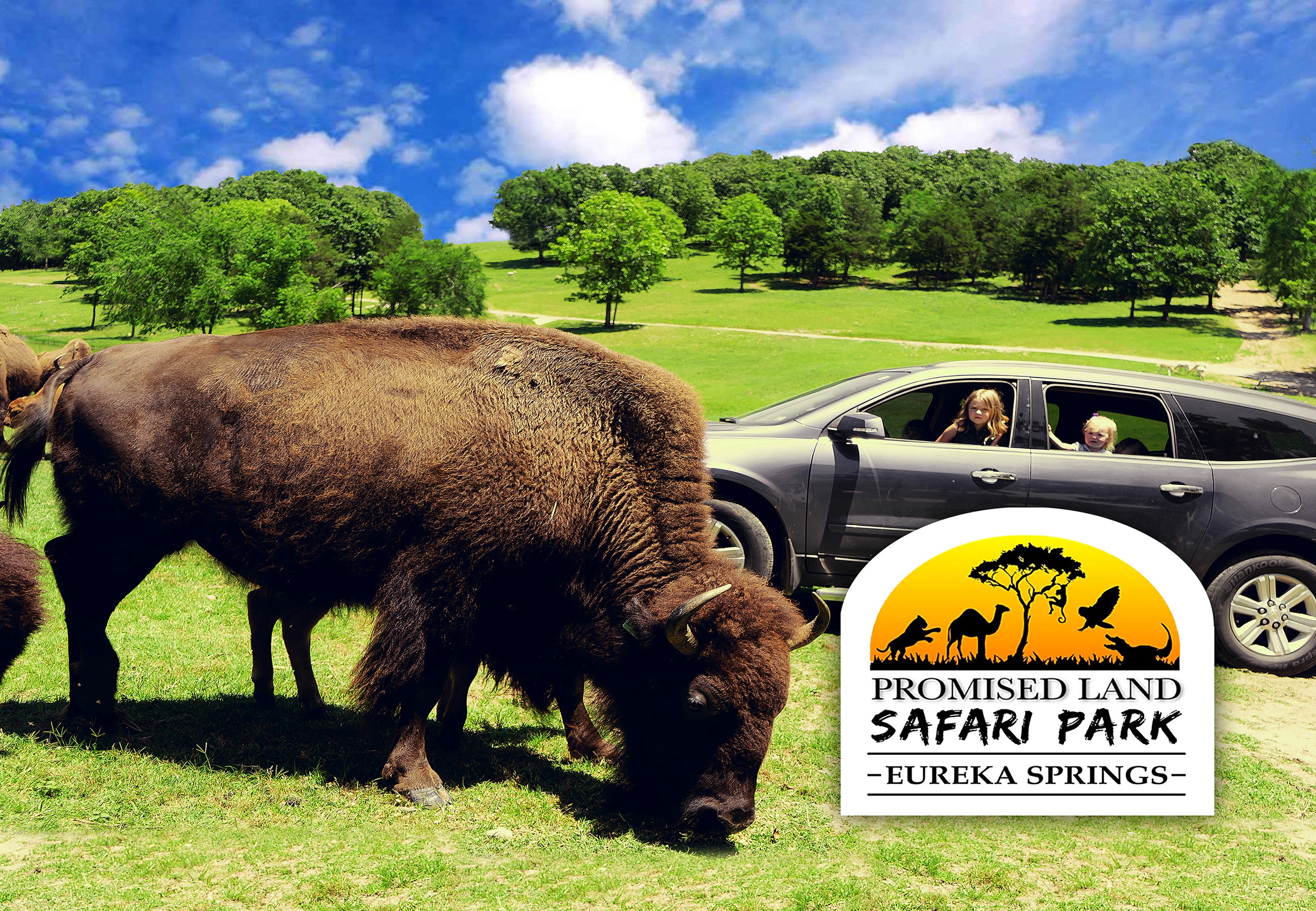 VIP Safari Zoo Adventure in Eureka | Eureka Springs Safari Park
