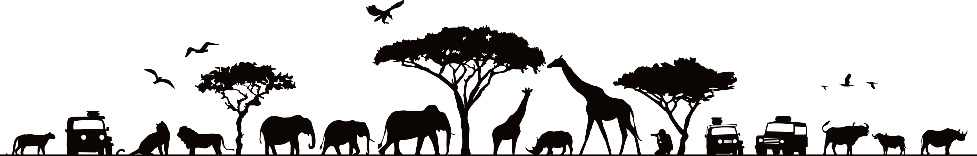 a sunset in the dark