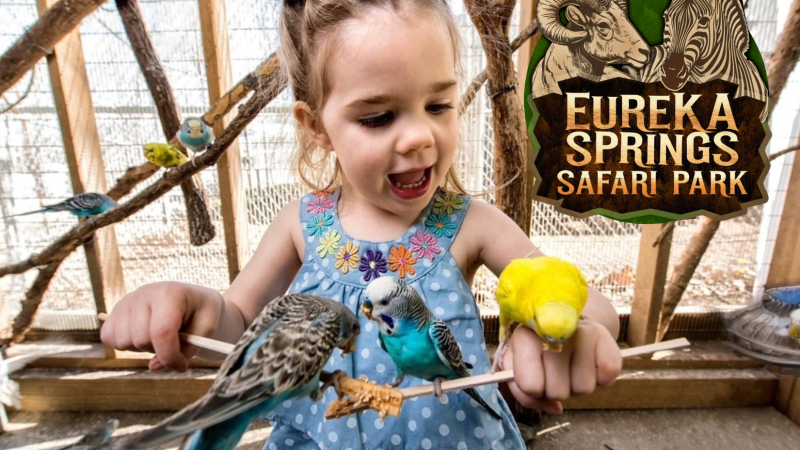 a little girl sitting at a zoo